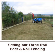 Click to view. Setting our Three Rail Post & Rail Fencing