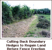 Click to view. Cutting Back Boundary Hedges to Regain Land Before Fence Erection
